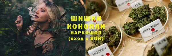соль ск Арсеньев