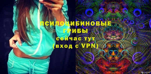 винт Армянск